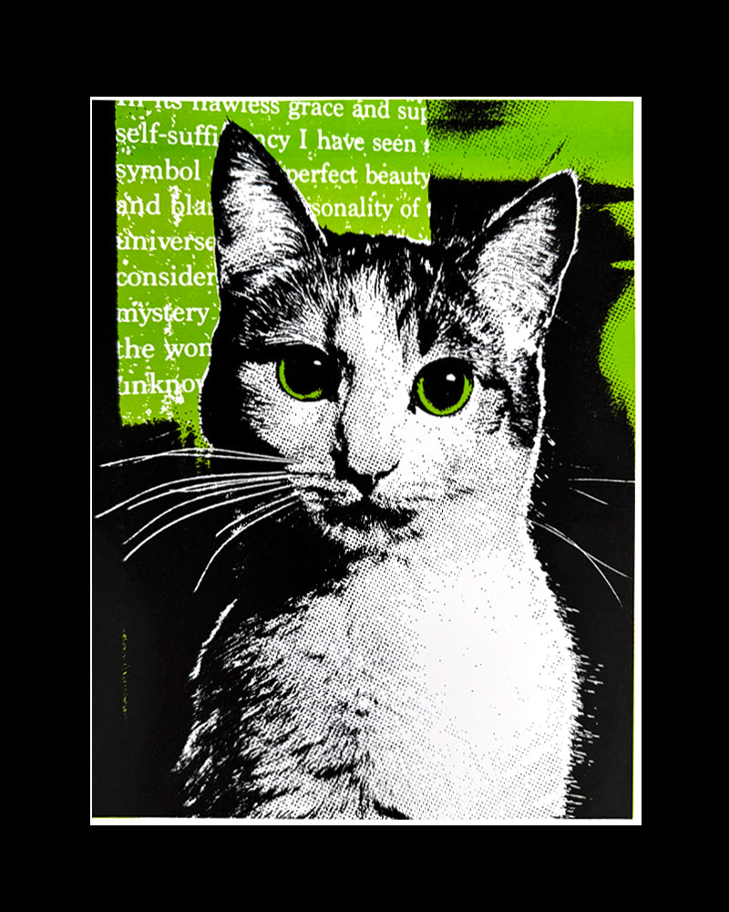Ginger Cat 8x10 Print